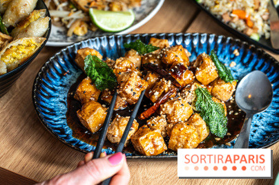 Buja restaurant végétarien thaï et Viet Paris 13e - photos - Pad Tofu au Tamarin