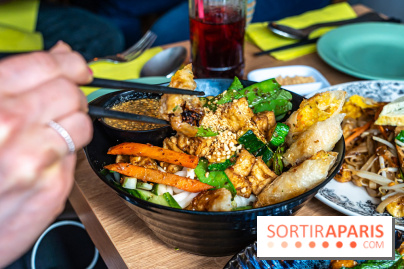 Buja restaurant végétarien thaï et Viet Paris 13e - photos - pas thai