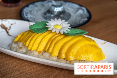 Buja restaurant végétarien thaï et Viet Paris 13e - photos - Mango sticky rice