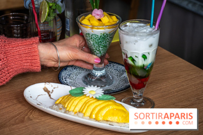 Buja restaurant végétarien thaï et Viet Paris 13e - photos - dessert 3 couleurs, perle de tapioca à la mangue, Mango sticky rice