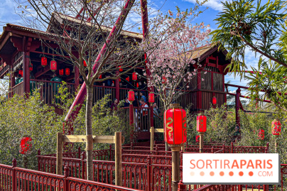 Le Défi du Dragon : la nouvelle attraction à sensations fortes du Jardin d'Acclimatation - image00094