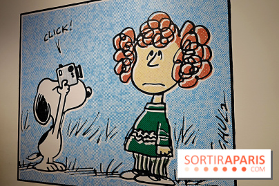 Le style Snoopy, nos photos de l'exposition - Expo Snoopy 5 fotor 20250401174014