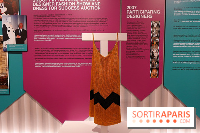 Le style Snoopy, nos photos de l'exposition - Expo Snoopy 13 fotor 20250401174127