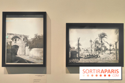 Trésors sauvés de Gaza : l'histoire de Gaza exposée à travers des vestiges archéologiques à l'IMA  - fotor 1743592106883