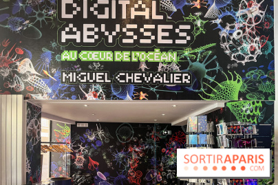 Digital Abysses au musée en Herbe - nos photos - FF01FD98 8795 41DA 99E2 872FC5B5B109