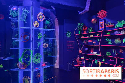 Digital Abysses au musée en Herbe - nos photos - 5E840A8C 6B0E 4F9C A75C 355062E1DA7E