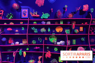 Digital Abysses au musée en Herbe - nos photos - 0129F15A 5778 46C1 BB45 E8B6ED6C3104