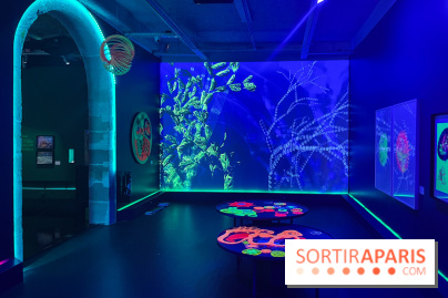 Digital Abysses au musée en Herbe - nos photos - 8F23999D 18C5 4CB3 8088 2779B3961DD3