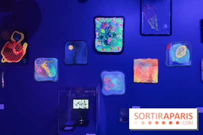 Digital Abysses au musée en Herbe - nos photos - 918D081E 61B5 4D00 98B6 656EB0E4B778