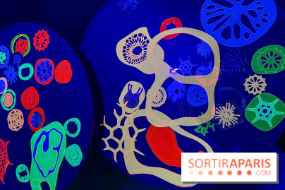 Digital Abysses au musée en Herbe - nos photos - 23C050E1 29AD 4602 97AF 05F2D4696EF9