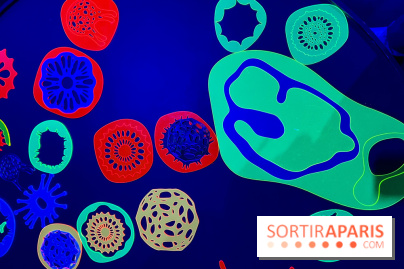 Digital Abysses au musée en Herbe - nos photos - 056D5F24 C1E2 4933 9C8D 9156D9EBD5EC