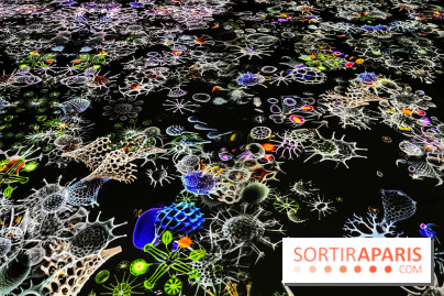 Digital Abysses au musée en Herbe - nos photos - 7E0115A3 377F 4561 B085 EA5755EE7777