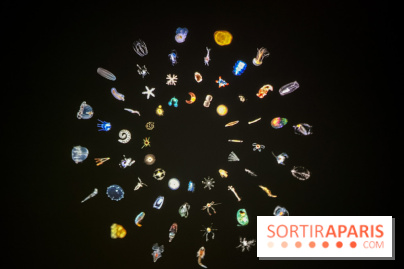 Digital Abysses au musée en Herbe - nos photos - 9ECF3129 95DF 4C74 9051 704E8027F710