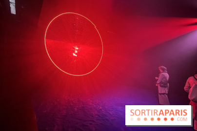 Into The Light, une exposition lumineuse à la Grande Halle de la Villette - IMG 8486