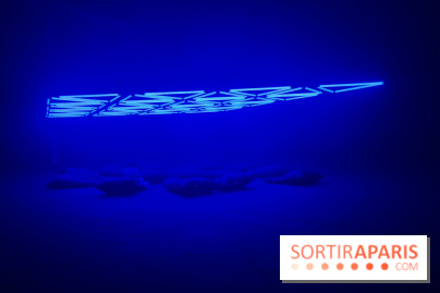 Into The Light, une exposition lumineuse à la Grande Halle de la Villette - IMG 8520