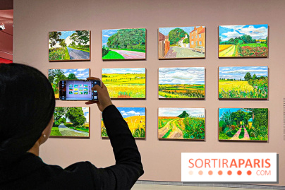 David Hockney : la plus grande exposition retrospective de l'artiste à la Fondation Louis Vuitton - IMG 8488 jpg