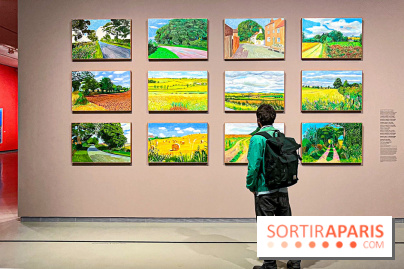 David Hockney : la plus grande exposition retrospective de l'artiste à la Fondation Louis Vuitton - IMG 8519 jpg