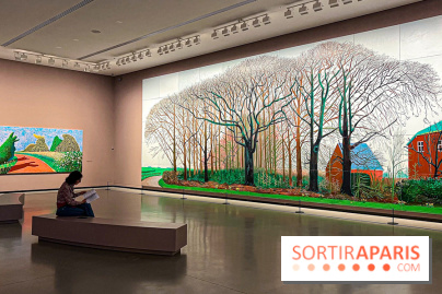 David Hockney : la plus grande exposition retrospective de l'artiste à la Fondation Louis Vuitton - IMG 8557 jpg