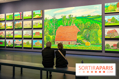 David Hockney : la plus grande exposition retrospective de l'artiste à la Fondation Louis Vuitton - IMG 8652 jpg