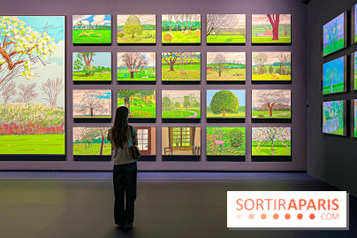 David Hockney : la plus grande exposition retrospective de l'artiste à la Fondation Louis Vuitton - IMG 8663 jpg