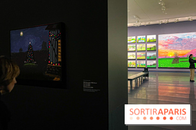 David Hockney : la plus grande exposition retrospective de l'artiste à la Fondation Louis Vuitton - IMG 8674 jpg