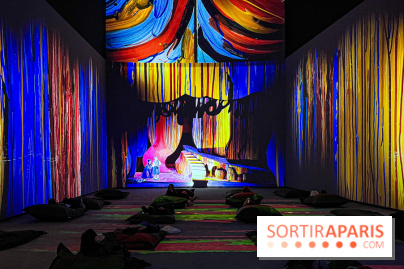 David Hockney : la plus grande exposition retrospective de l'artiste à la Fondation Louis Vuitton - IMG 8752 jpg