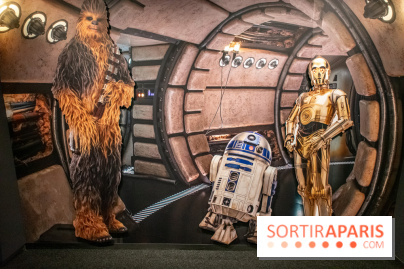 Disney100 : l'exposition des 100 ans de Disney à Paris Expo Porte de Versailles - DSC 2918