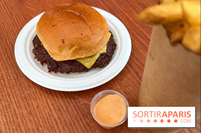 Dumbo - Smash burger et frites