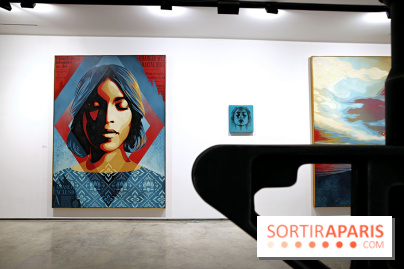 Expo collective et gratuite de street art à la galerie Itinerrance, nos photos  - Expo Galeie Itinerrance Avril 2025 13 fotor 2025041181045