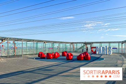Panoramart : l'exposition créative signée Aurélien Jeanney, perchée au sommet de la Tour Montparnasse - image00034