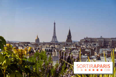 Rooftop de Dame des Arts, la terrasse panoramique sur les toits de Paris - photos  - A7C06281