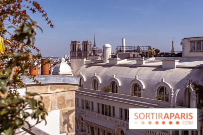 Rooftop de Dame des Arts, la terrasse panoramique sur les toits de Paris - photos  - A7C06287