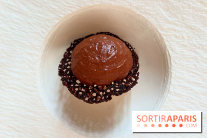 Le Pergolèse - Dessert chocolat, algues rouges poivrées