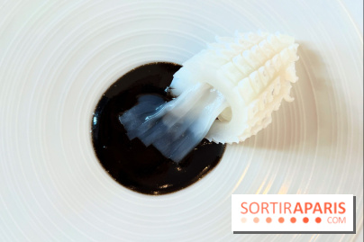 Le Pergolèse - Encornet, encre de seiche