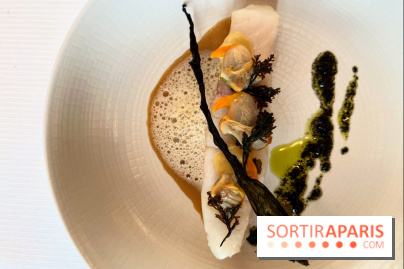 Le Pergolèse - Lieu jaune, coquillages