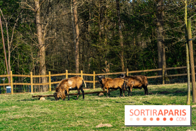 La Ferme de l’Abbaye des Vaux de Cernay : l'hôtel de charme en pleine nature dans les Yvelines - photos