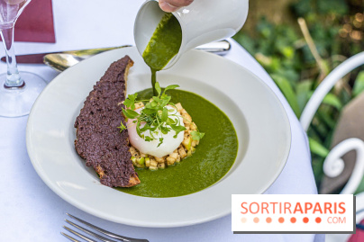 Terrasse de l'Hôtel Particulier, le jardin verdoyant au cœur de Montmartre - photo - A7C06420
