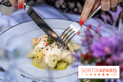 Terrasse de l'Hôtel Particulier, le jardin verdoyant au cœur de Montmartre - photo - A7C06425