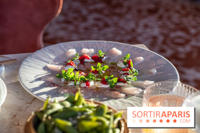 Kinugawa Rive Gauche à Paris, le restaurant en rooftop de l'Hôtel Sax - photos