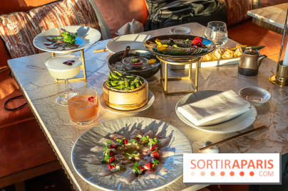 Kinugawa Rive Gauche à Paris, le restaurant en rooftop de l'Hôtel Sax - photos