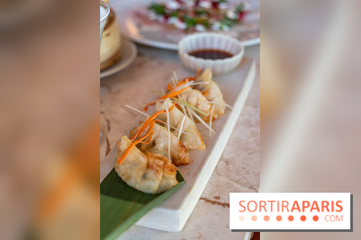 Kinugawa Rive Gauche à Paris, le restaurant en rooftop de l'Hôtel Sax - photos