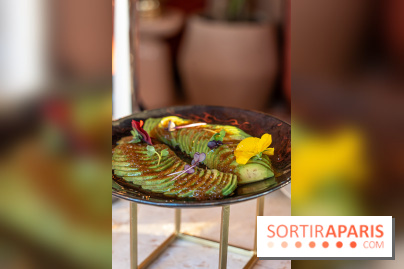 Kinugawa Rive Gauche à Paris, le restaurant en rooftop de l'Hôtel Sax - photos