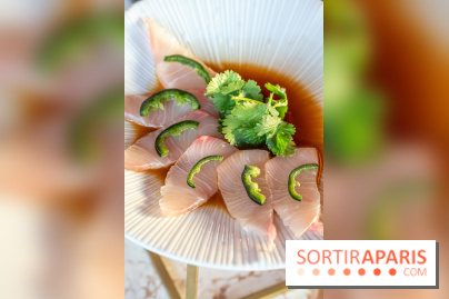 Kinugawa Rive Gauche à Paris, le restaurant en rooftop de l'Hôtel Sax - photos