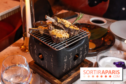 Kinugawa Rive Gauche à Paris, le restaurant en rooftop de l'Hôtel Sax - photos