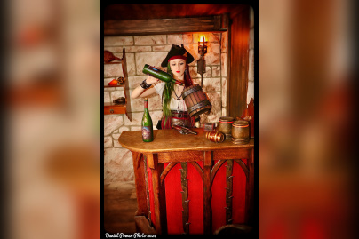 Campagne #33772 - Taverne