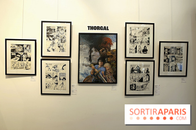 Rétrospective Grzegorz Rosinski, nos photos de l'expo gratuite à Paris - Expo Thorgal 15