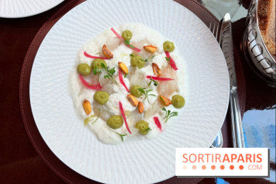 Frida - Ceviche de daurade coco