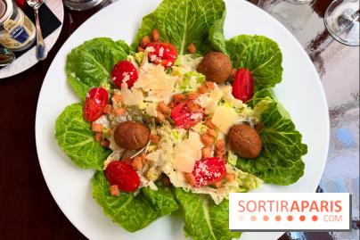 Frida - Salade César falafels