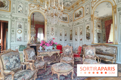 Château de Champs-sur-Marne, visuels