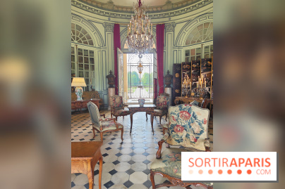 Château de Champs-sur-Marne, visuels